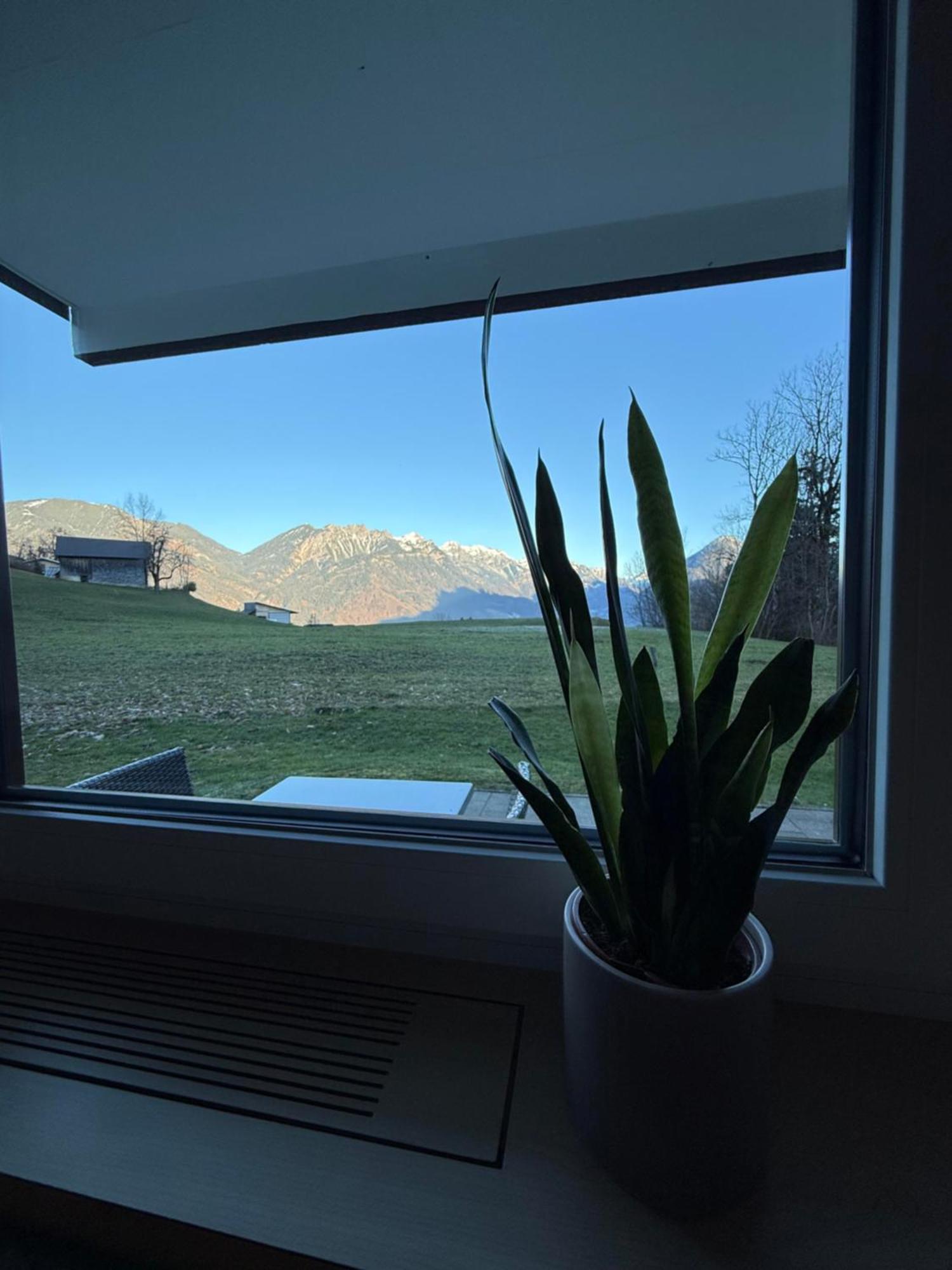 Bergnest Brandnertal Apartment Buerserberg Exterior photo